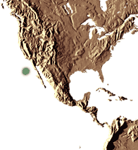 Habitat : Ile de Guadalupe, à 250 kms au large de Baja California, sur la côte Ouest du Mexique. Le Brahea edulis pousse sur des pentes rocailleuses et des à-pics, au milieu d’une végétation désertique, jusqu’à 1000 mètres d’altitude.
