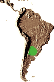 Habitat : Argentine (Cordoba, Entre Rios, Salta, San Luis, Santa Fé, Tucuman) et ouest de l’Uruguay, dans des zones plates et découvertes, avec une saison sèche prononcée. 